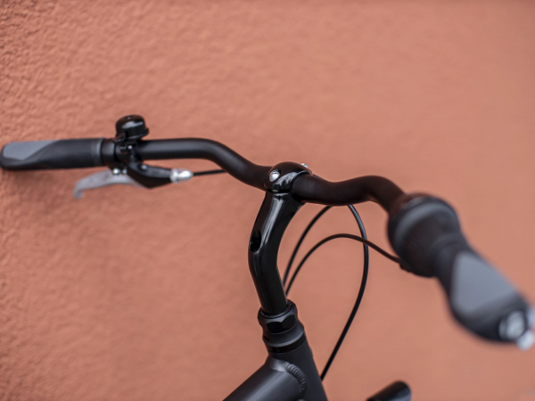 Rower TREK District 1 EQ M Matte Dnister