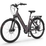 Rower Ecobike X-CITY 19 COFFEE bateria 14,5 AH