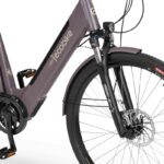 Rower Ecobike X-CITY 19 COFFEE bateria 14,5 AH