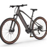Rower EcobikeSX300 CopperBlack 21″ LG48V14AH 672Wh