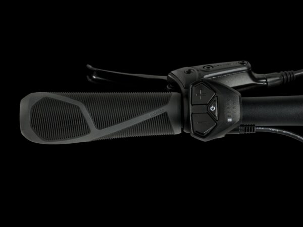 Rower TREK Verve+ 1 Lowstep LT rozm.S